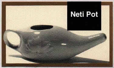 Neti Pot - American Meditation Institute